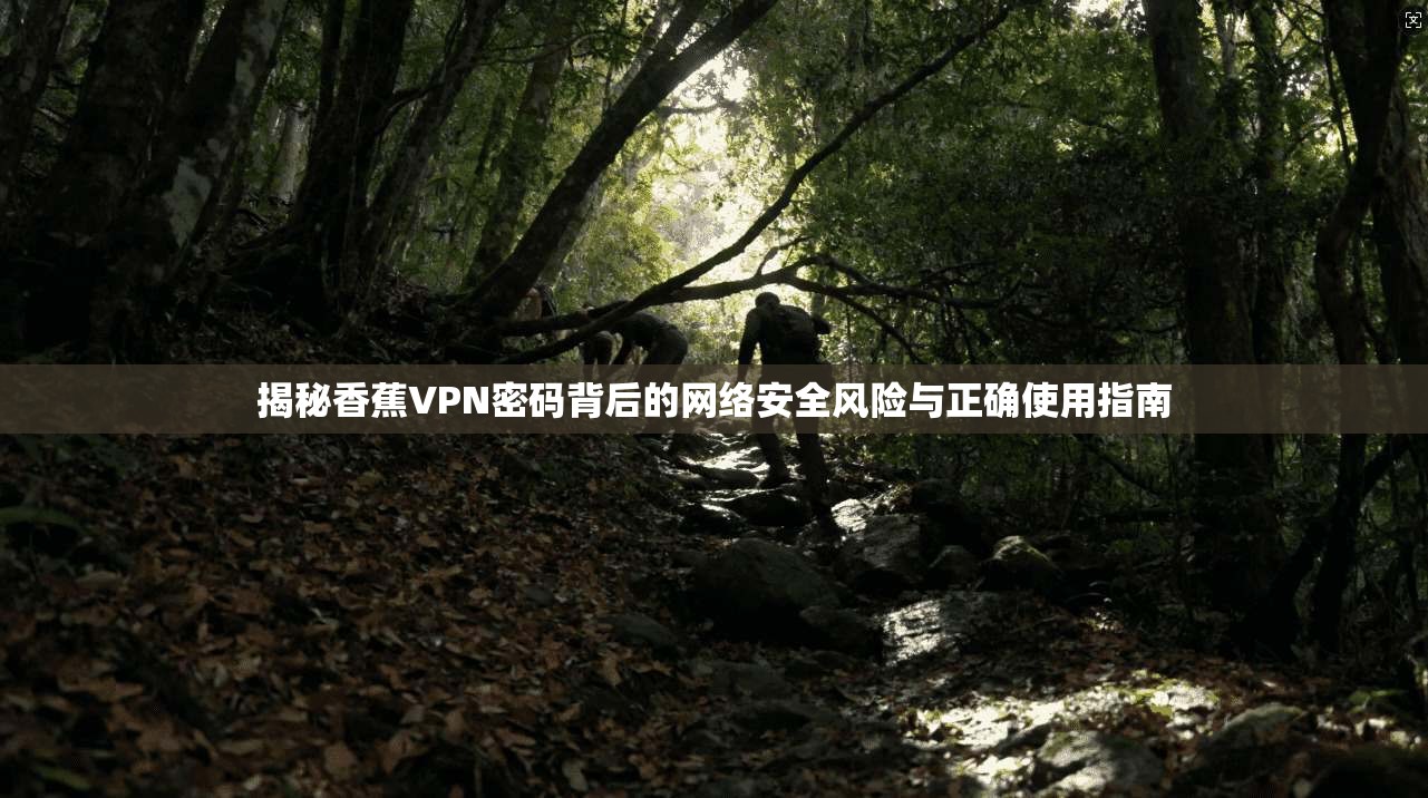 揭秘香蕉VPN密码背后的网络安全风险与正确使用指南