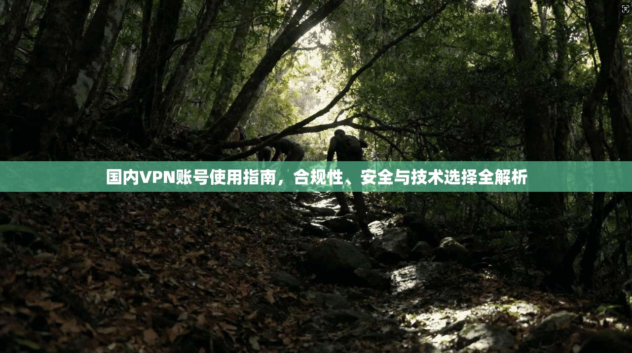 国内VPN账号使用指南，合规性、安全与技术选择全解析