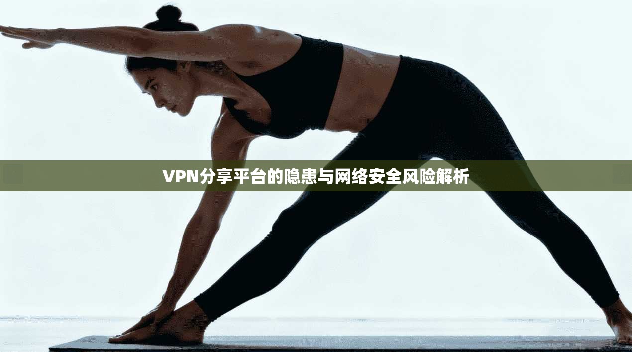 VPN分享平台的隐患与网络安全风险解析