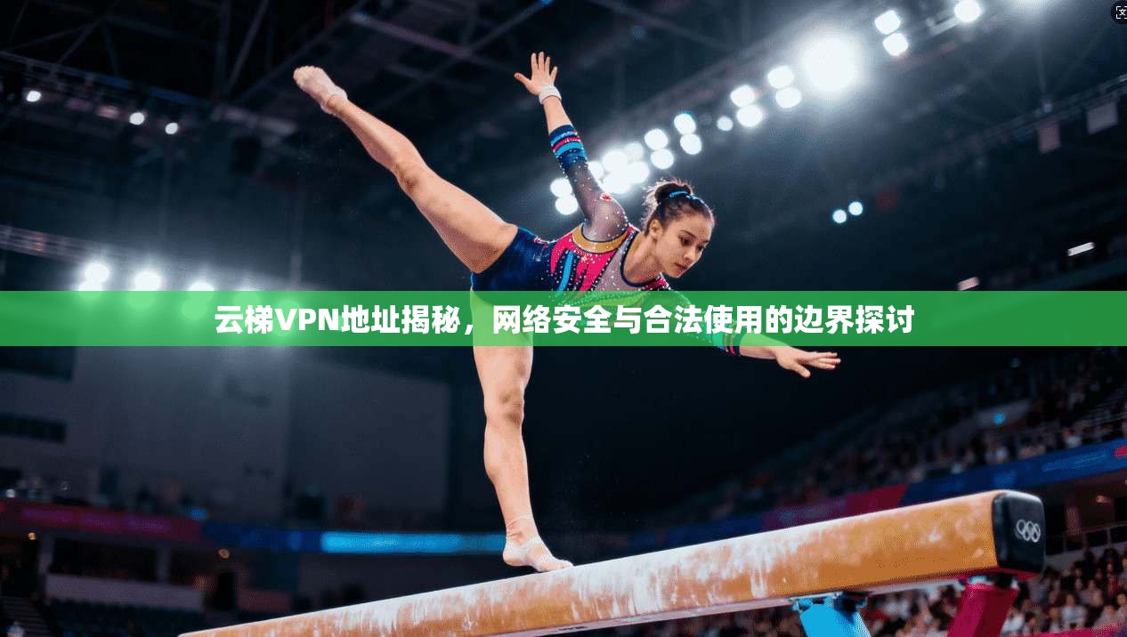 云梯VPN地址揭秘，网络安全与合法使用的边界探讨