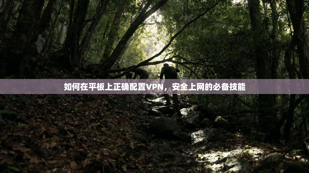 如何在平板上正确配置VPN，安全上网的必备技能