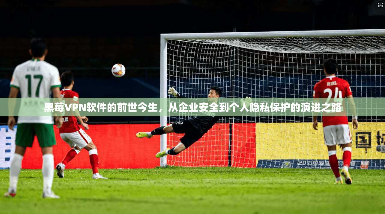 黑莓VPN软件的前世今生，从企业安全到个人隐私保护的演进之路