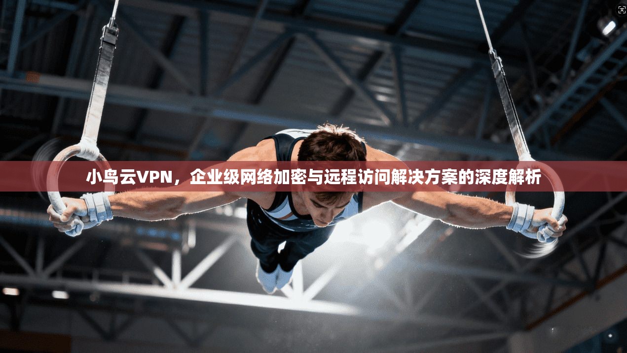 小鸟云VPN，企业级网络加密与远程访问解决方案的深度解析