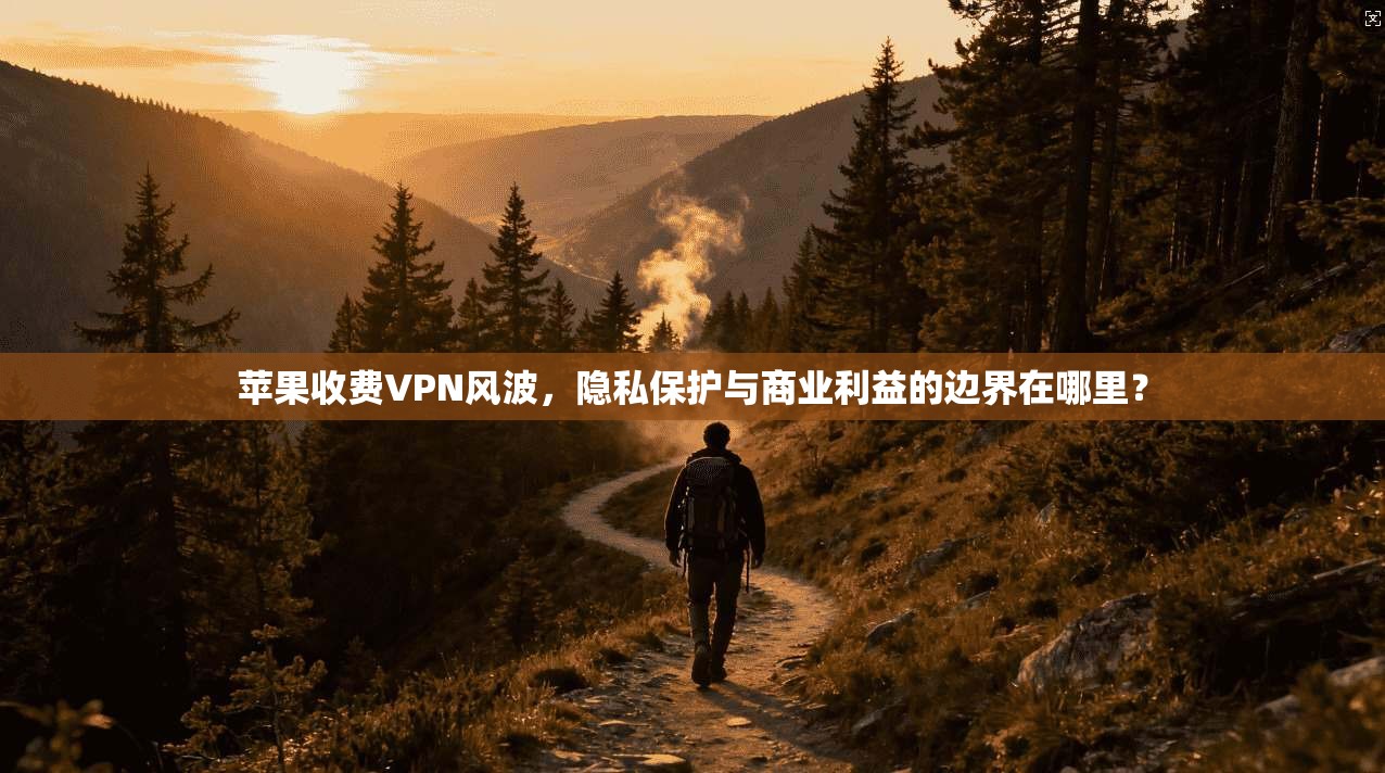 苹果收费VPN风波，隐私保护与商业利益的边界在哪里？