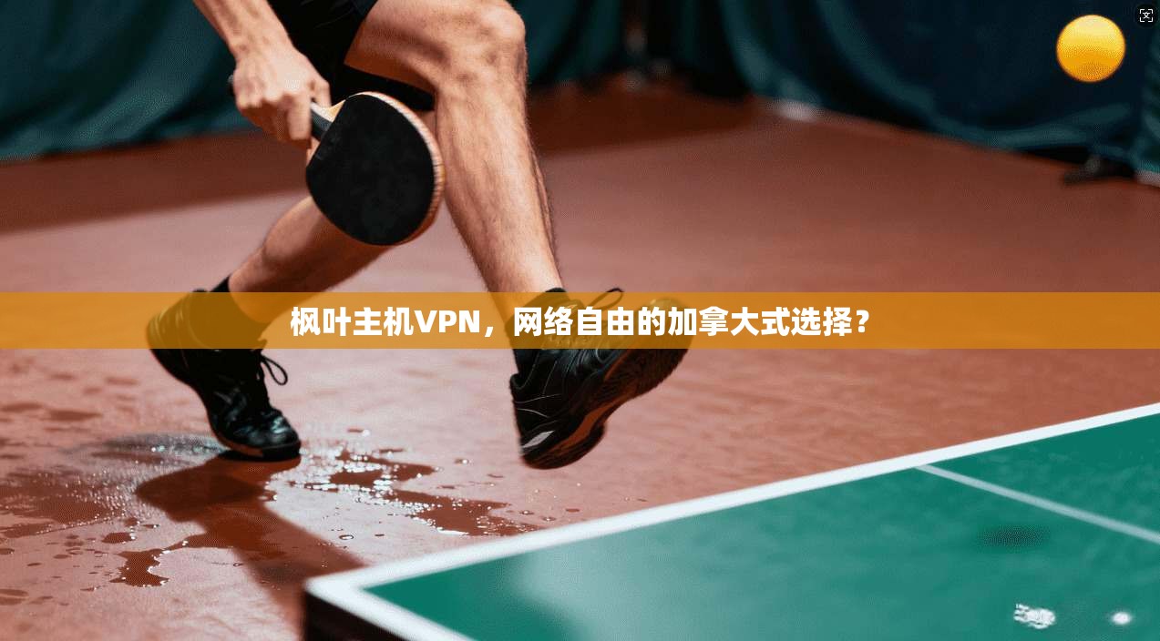 枫叶主机VPN，网络自由的加拿大式选择？