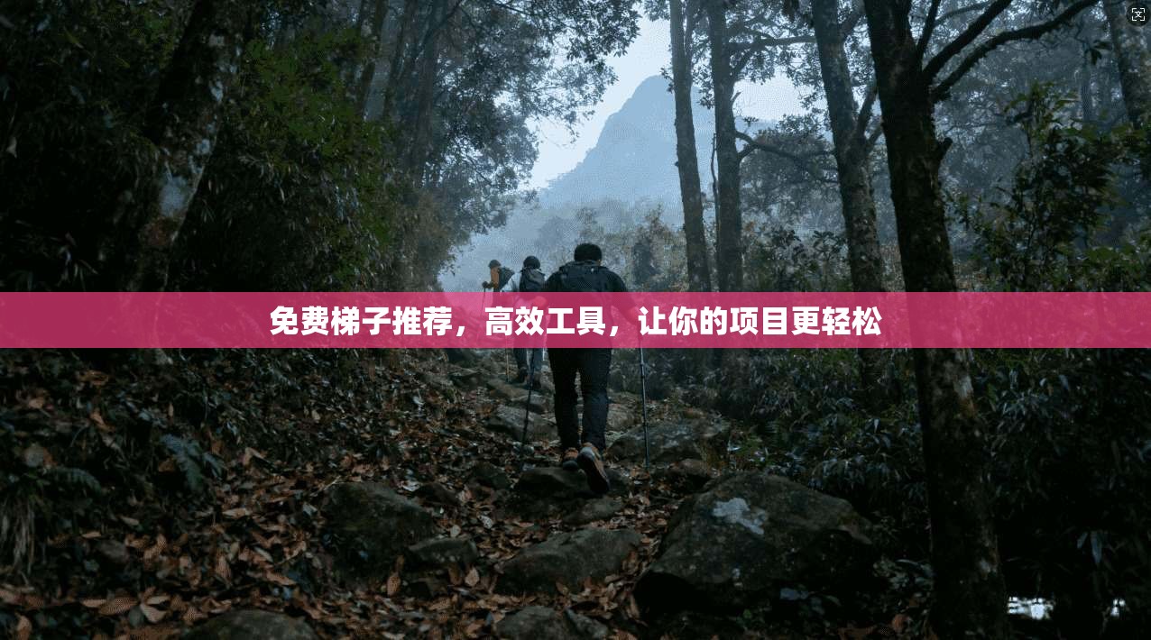 免费梯子推荐，高效工具，让你的项目更轻松  第1张