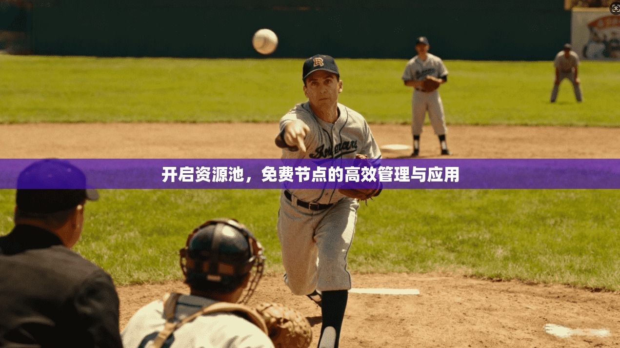 开启资源池，免费节点的高效管理与应用  第1张