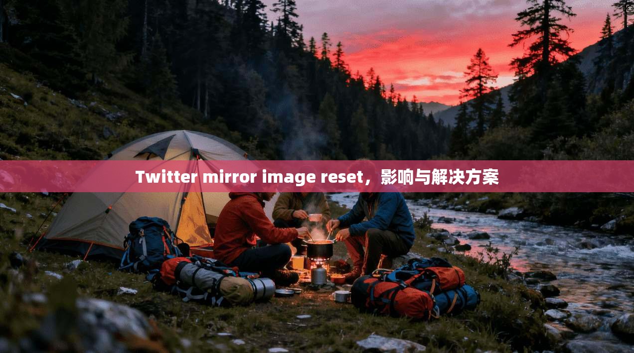 Twitter mirror image reset，影响与解决方案  第1张