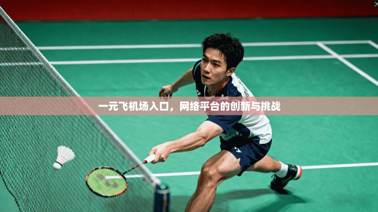 一元飞机场入口，网络平台的创新与挑战  第1张