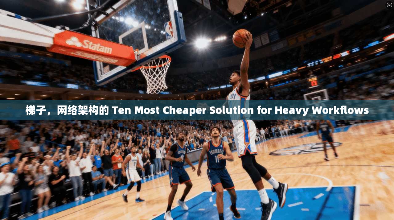 梯子，网络架构的 Ten Most Cheaper Solution for Heavy Workflows  第1张
