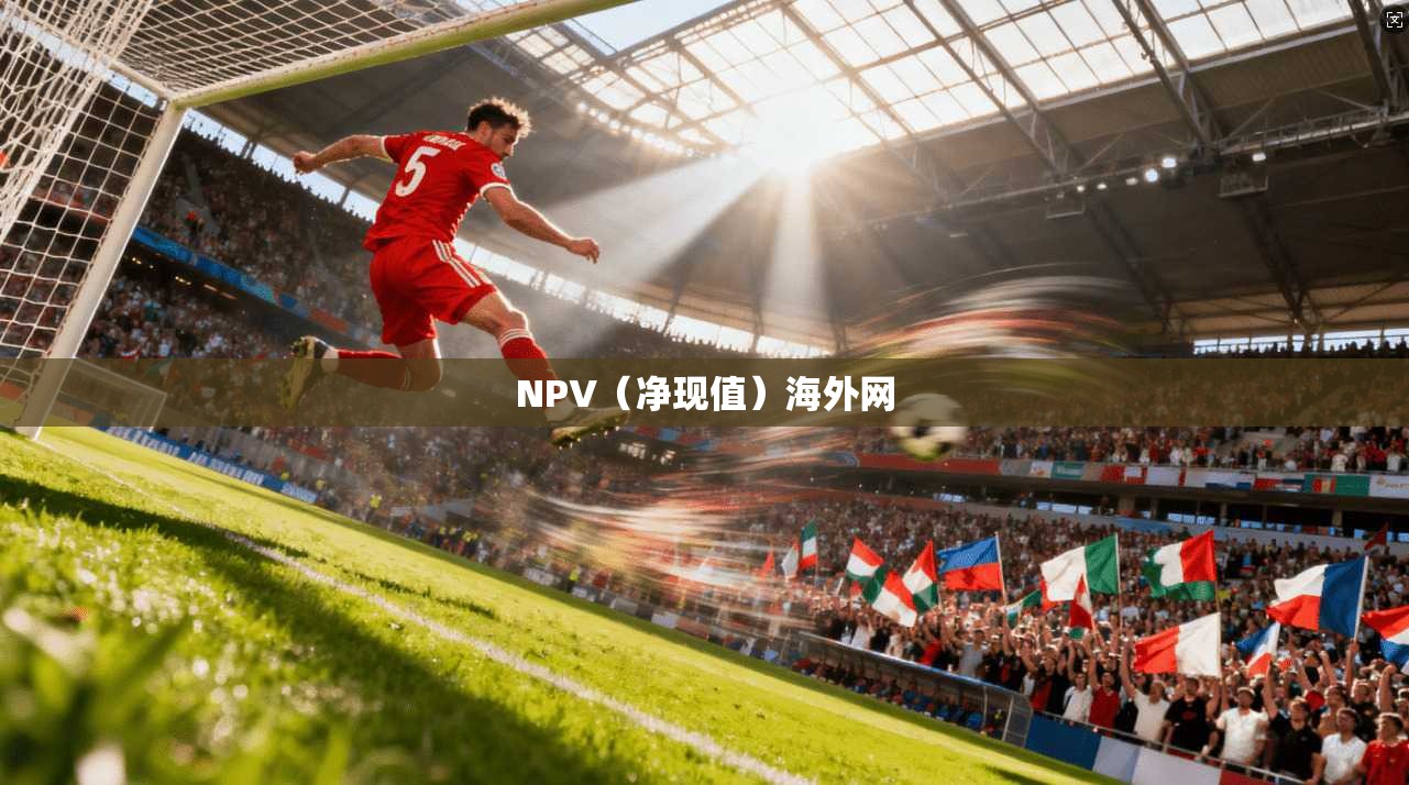 NPV(净现值)海外网 第1张 NPV(净现值)海外网 第1张