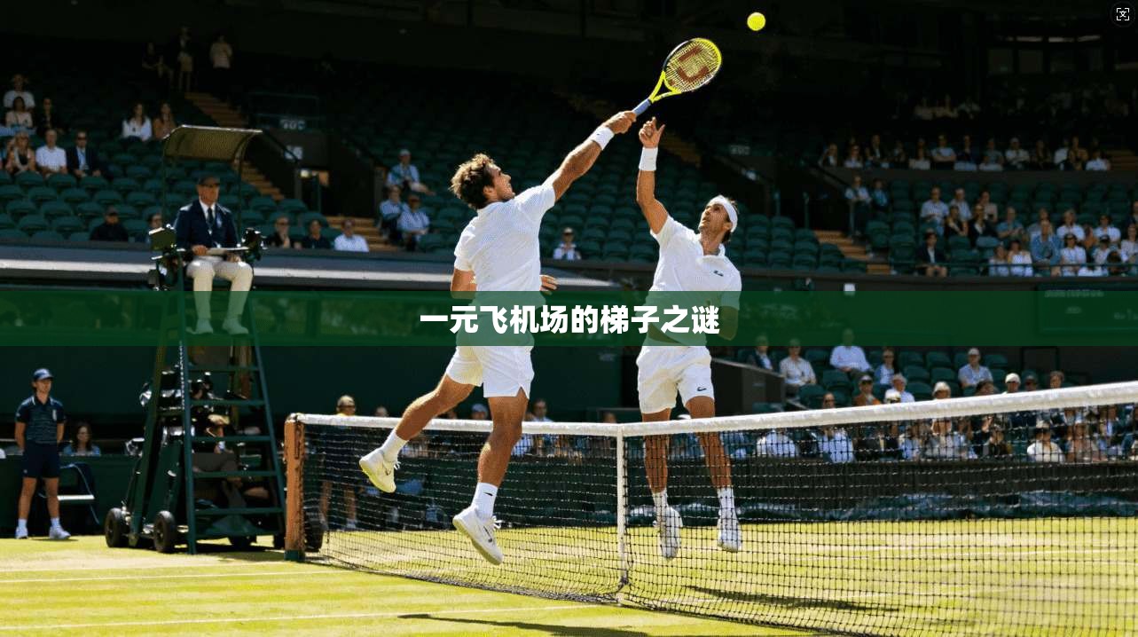 一元飞机场的梯子之谜  第1张