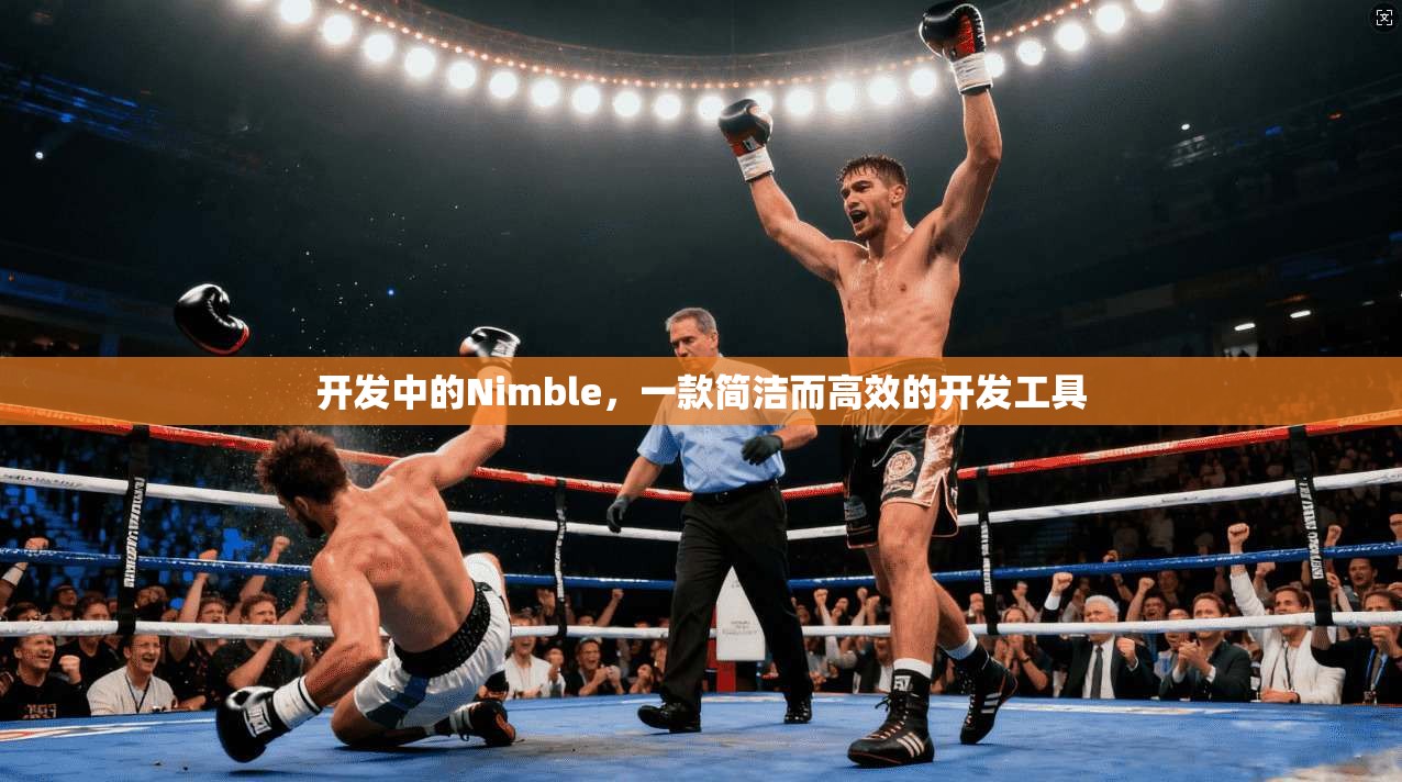 开发中的Nimble,一款简洁而高效的开发工具 第1张 开发中的Nimble,一款简洁而高效的开发工具 第1张