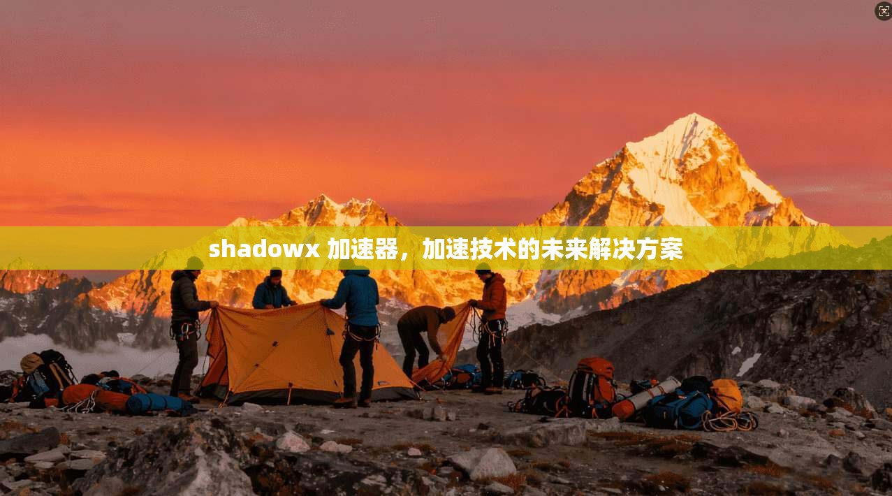 shadowx 加速器，加速技术的未来解决方案  第1张