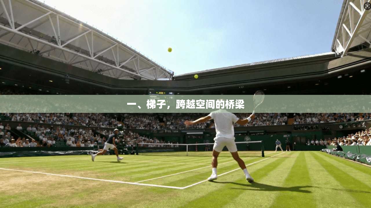 一、梯子，跨越空间的桥梁  第1张