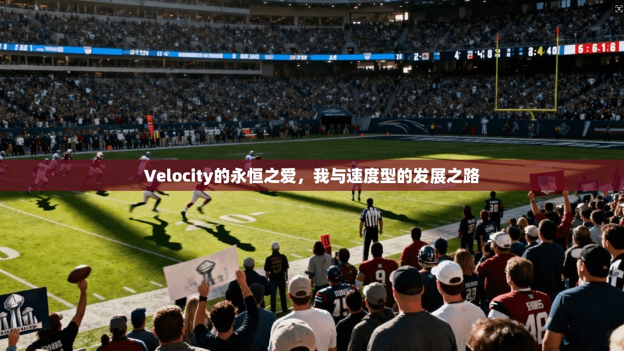 Velocity的永恒之爱，我与速度型的发展之路  第1张