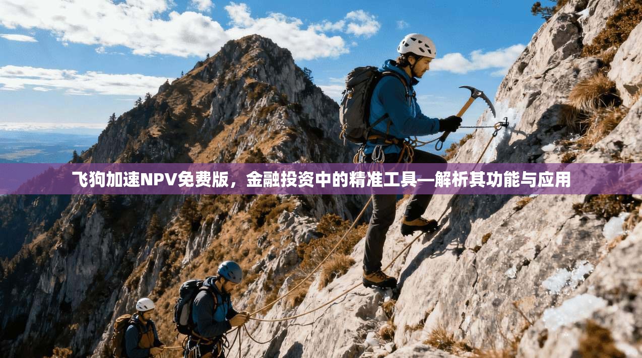 飞狗加速NPV免费版,金融投资中的精准工具—解析其功能与应用 第1张 飞狗加速NPV免费版,金融投资中的精准工具—解析其功能与应用 第1张