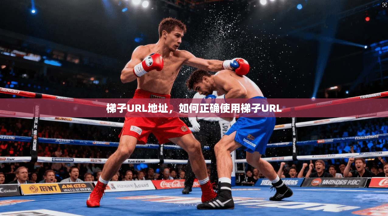 梯子URL地址,如何正确使用梯子URL 第1张 梯子URL地址,如何正确使用梯子URL 第1张