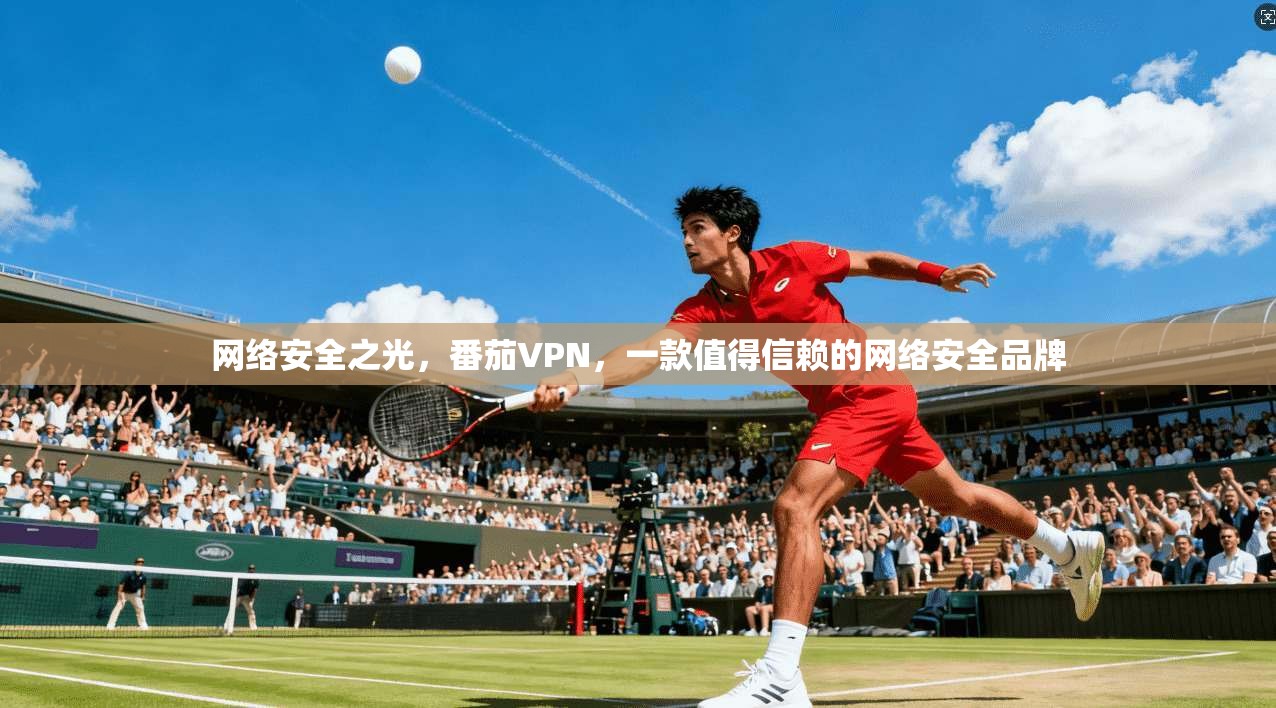 网络安全之光,番茄VPN,一款值得信赖的网络安全品牌 第1张 网络安全之光,番茄VPN,一款值得信赖的网络安全品牌 第1张
