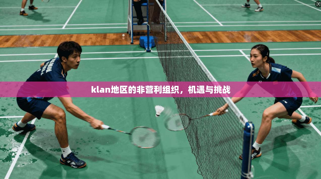 klan地区的非营利组织,机遇与挑战 第1张 klan地区的非营利组织,机遇与挑战 第1张