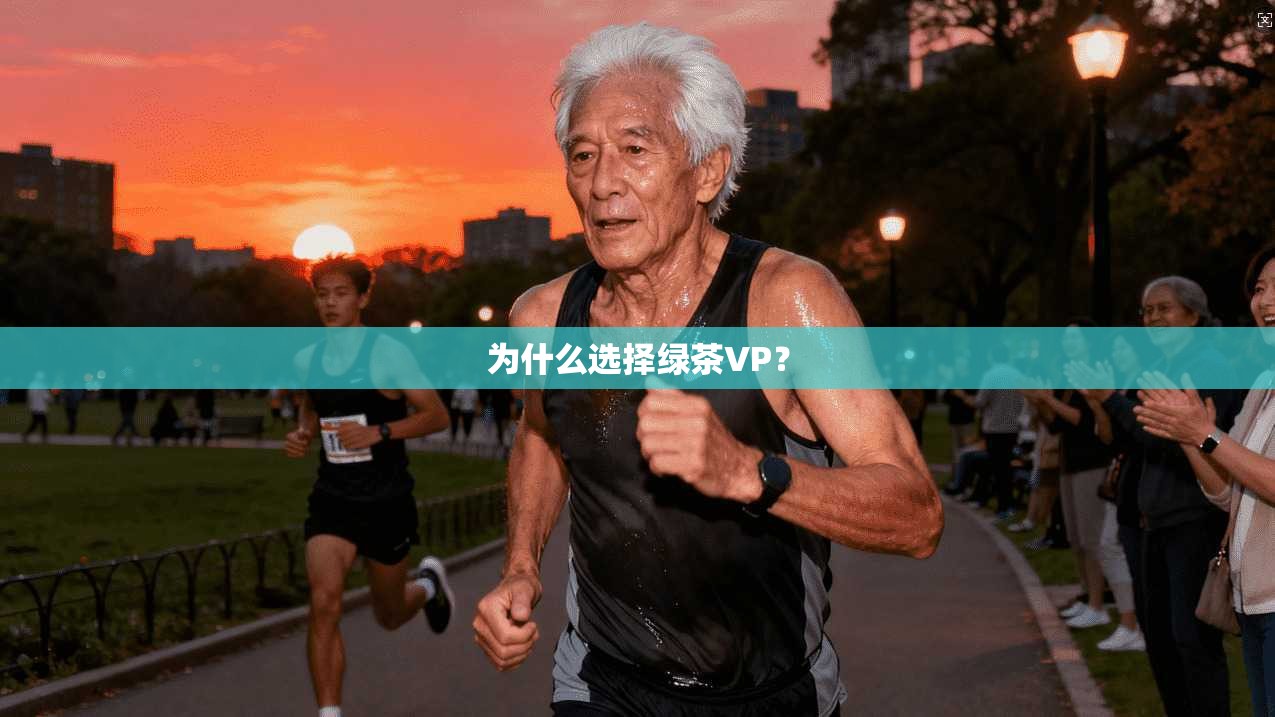 为什么选择绿茶VP？  第1张