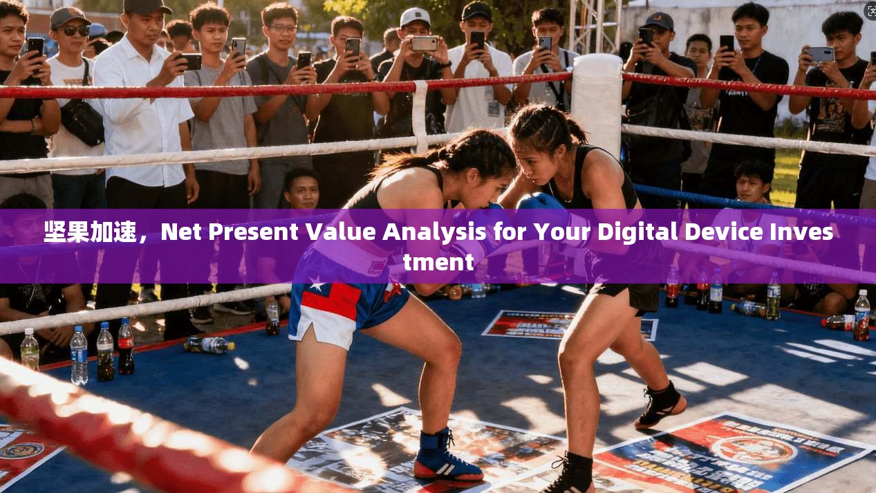 坚果加速,Net Present Value Analysis for Your Digital Device Investment 第1张 坚果加速,Net Present Value Analysis for Your Digital Device Investment 第1张