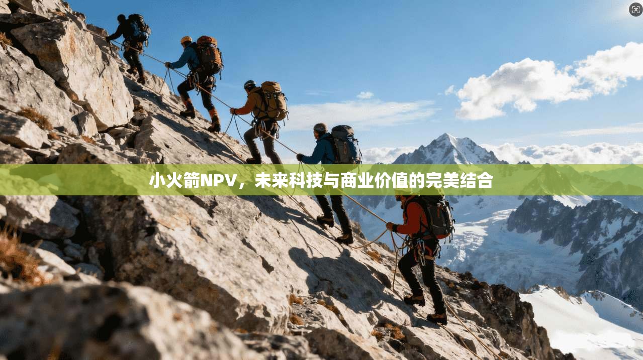 小火箭NPV,未来科技与商业价值的完美结合 第1张 小火箭NPV,未来科技与商业价值的完美结合 第1张