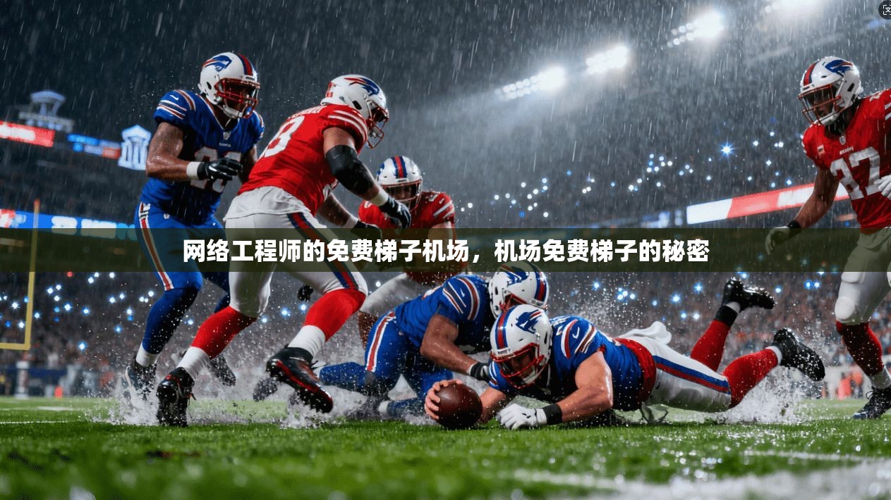 网络工程师的免费梯子机场，机场免费梯子的秘密  第1张