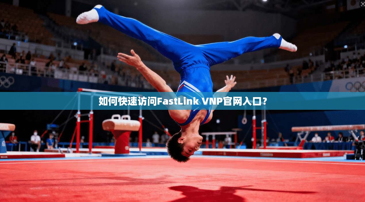 如何快速访问FastLink VNP官网入口? 第1张 如何快速访问FastLink VNP官网入口? 第1张