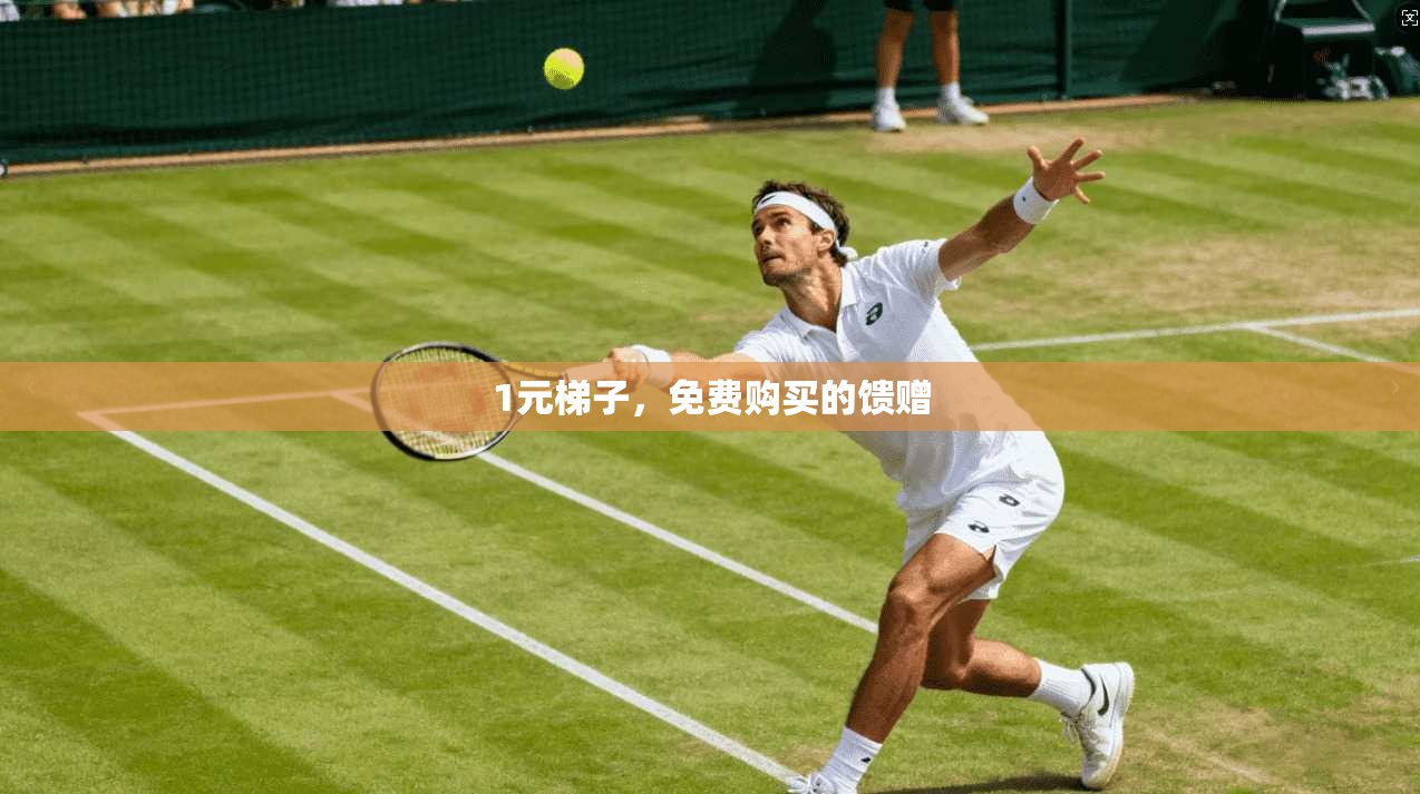 1元梯子，免费购买的馈赠  第1张