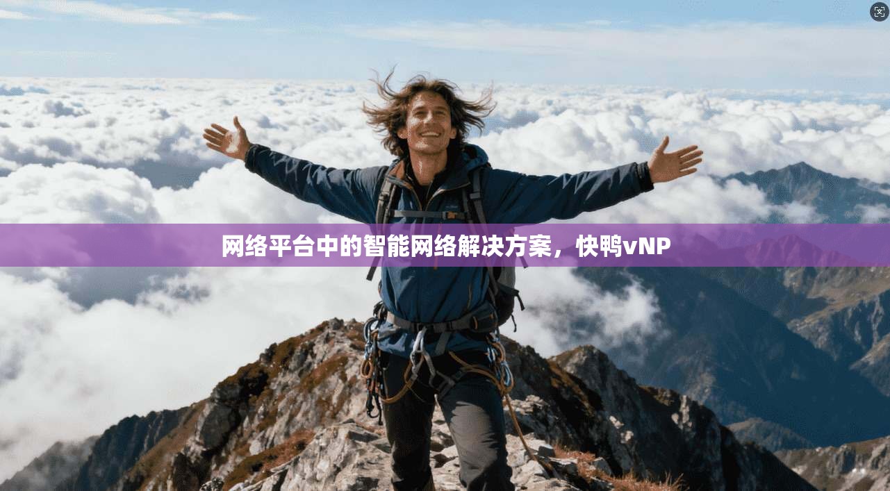 网络平台中的智能网络解决方案,快鸭vNP 第1张 网络平台中的智能网络解决方案,快鸭vNP 第1张