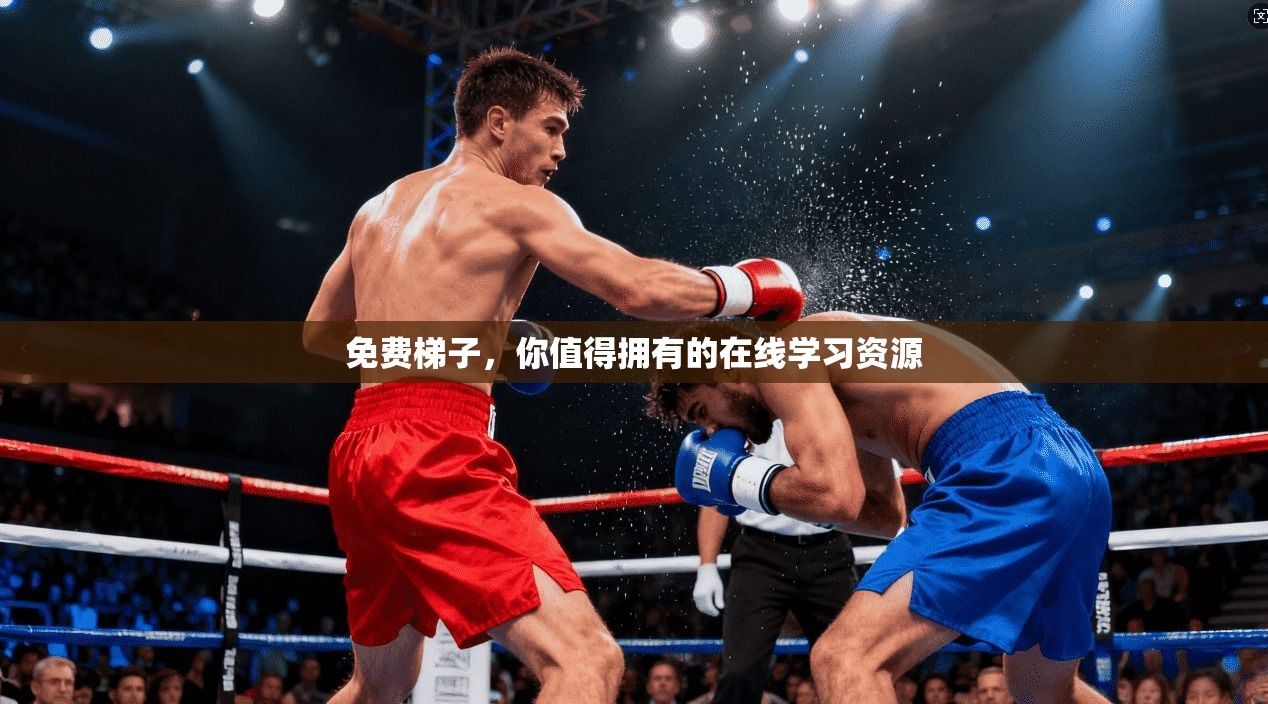 免费梯子，你值得拥有的在线学习资源  第1张