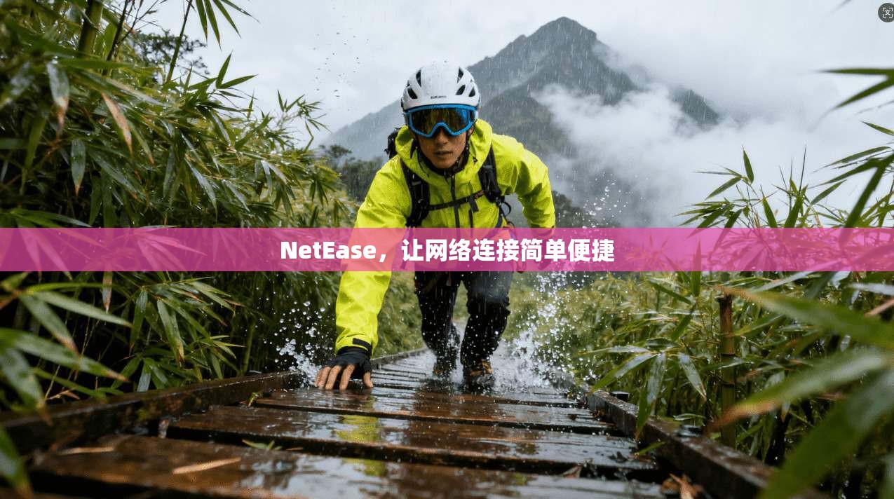 NetEase，让网络连接简单便捷  第1张