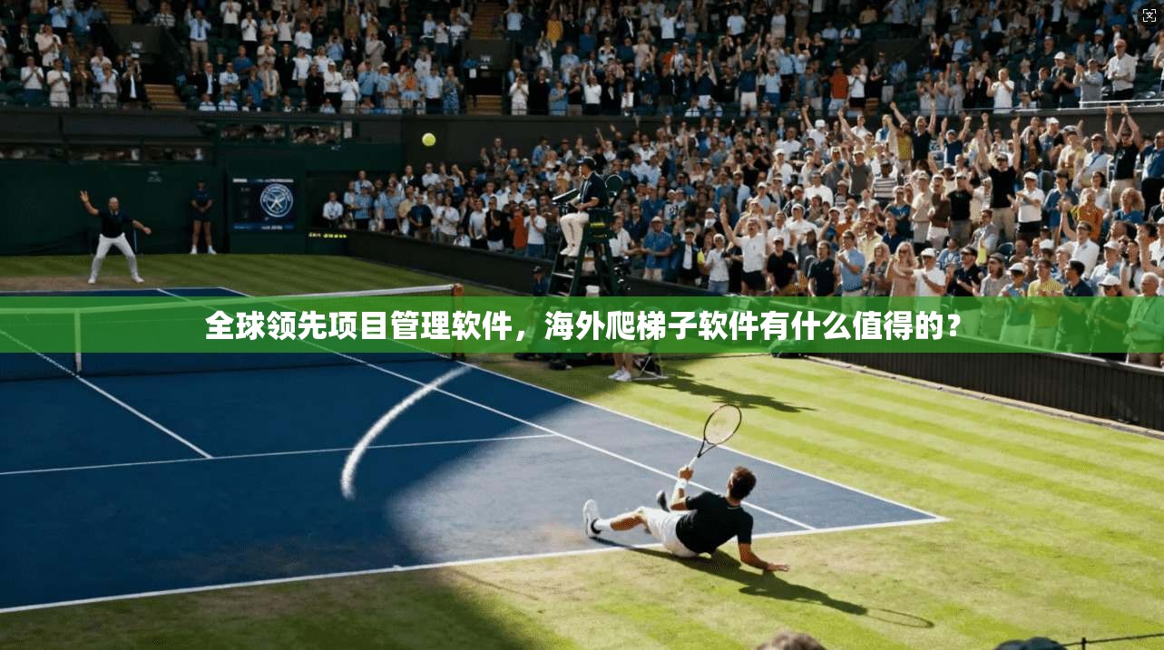 全球领先项目管理软件，海外爬梯子软件有什么值得的？  第1张