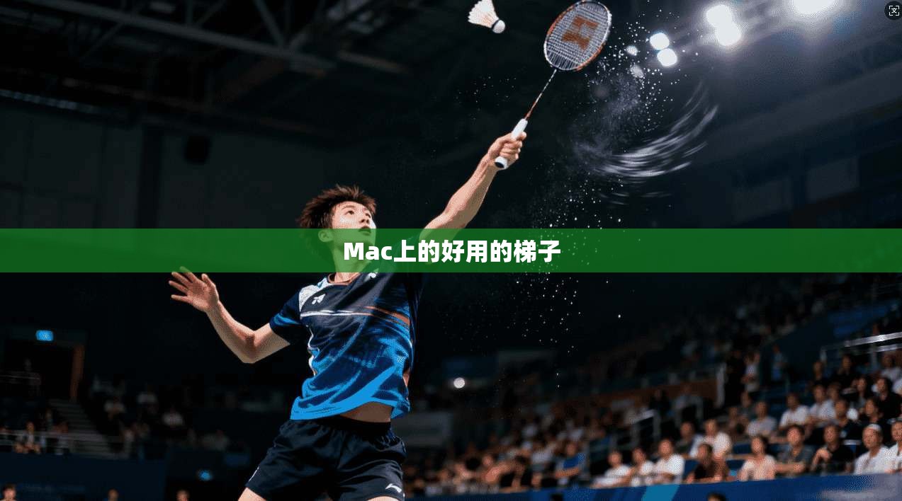 Mac上的好用的梯子  第1张