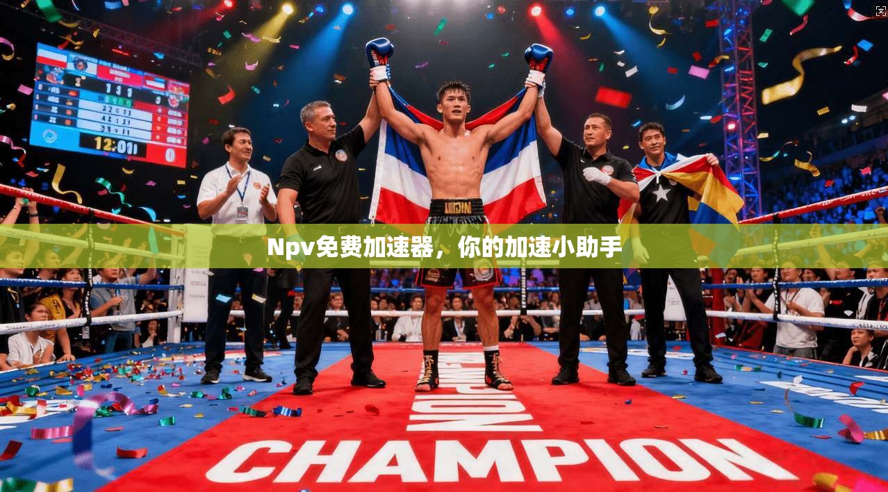 Npv免费加速器，你的加速小助手  第1张