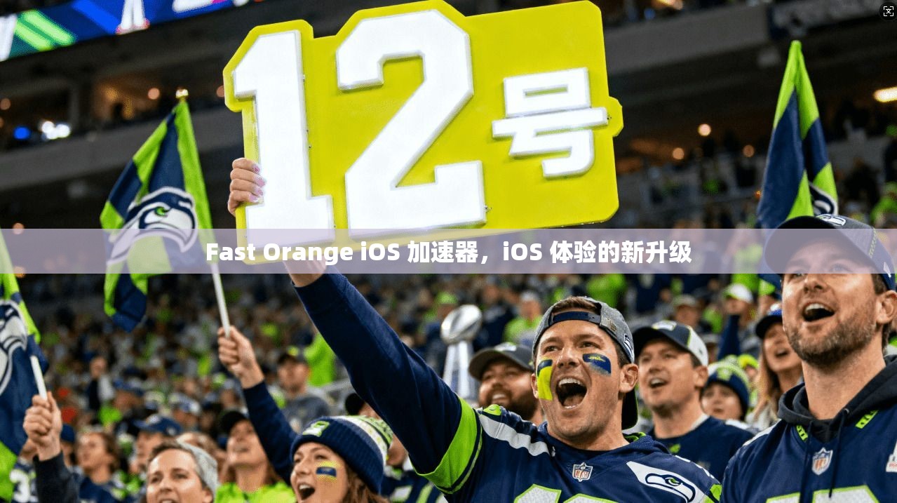 Fast Orange iOS 加速器，iOS 体验的新升级  第1张